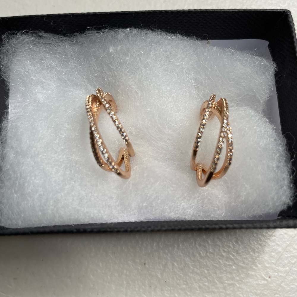 Earrings - Picture 3 of 6